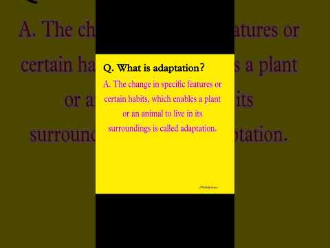 Video: Kad izmantot adaptāciju?