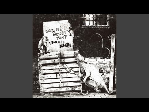 Смотреть «That´s the situation» на YouTube Смотреть «That´s the situation» на YouTube