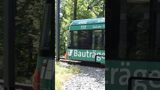 Nürnberg Tram 🇩🇪 • GTV6 1204 • Tiergarten • 22.06.2023