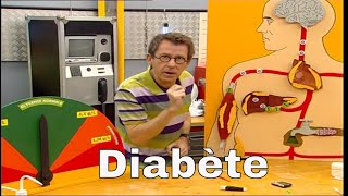 Qu'est-ce que le diabète de type 2 ? - C'est Pas Sorcier screenshot 2