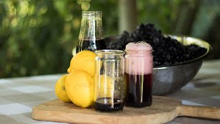 How To Make Fruit Juice For Winter | Homemade Chokeberry Juice (Aronia Juice) by Homevert Homesteader 186 views 5 months ago 13 minutes, 22 seconds