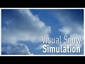 A visual snow simulation