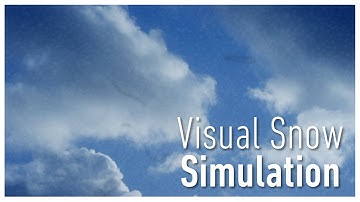 a Visual Snow simulation