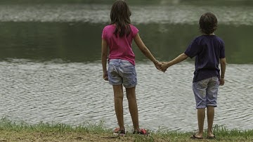 The River - Parallax effect 2.5D