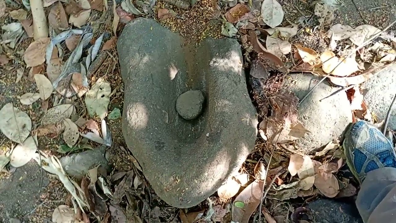 Cosas que descubre uno en los montes.