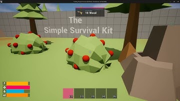 UE5 | The Simple Survival Kit | WIP #02