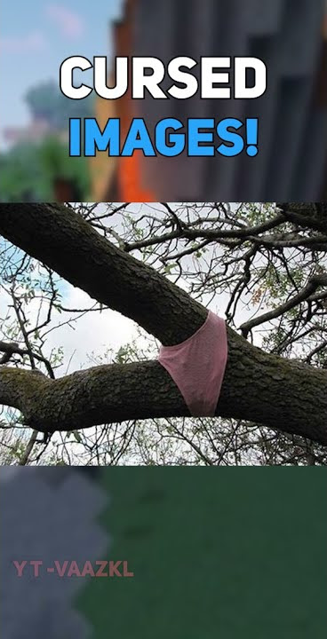 CURSED IMAGES MEMES!