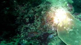 SANY0166.MP4