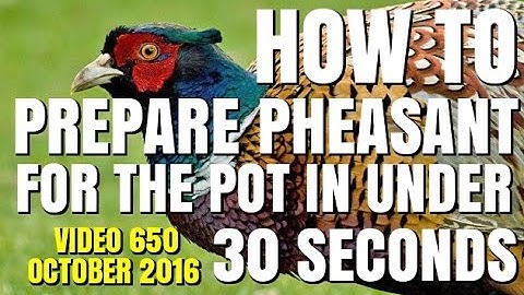 HOW TO - PREPARE PHEASANT FOR THE POT IN UNDER 30 SECONDS