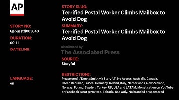 QAUTOHeadlineCR-VOSOT Nov 26 19:01:49 IST 2025 QA v8 CRmomnts Headline