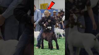 That Slap Was Personal