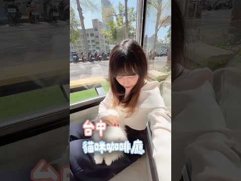 台中最新的貓貓咖啡廳你去過了嗎????☕️#台中#台中景點#台中景點推薦#台中咖啡廳#台中貓咖#貓咖#貓咖啡#貓#貓貓#貓咪#曼赤肯