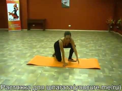 ��� ������ ���� ���������� 10��: ����.