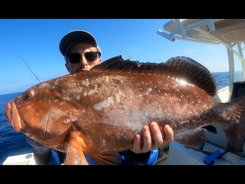 WORLD RECORD Red Grouper On Spinning Tackle Caught Off Marco Island, Florida????