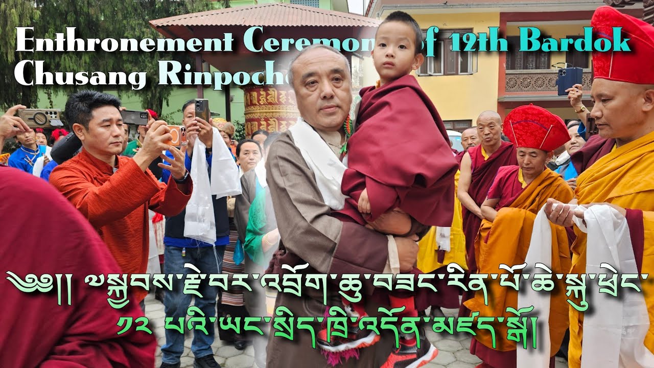 Enthronement offering Ceremony of Young Reincarnation 12th Bardok Chusang Rinpoche #reincarnation
