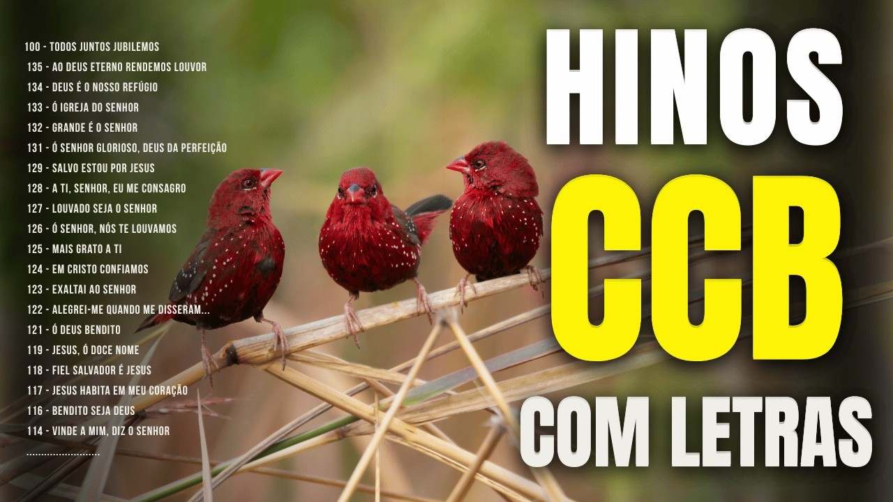 LINDOS HINOS CCB CANTADOS COM LETRA 🙏 | NA CRUZ MORREU O CORDEIRO | HINOS QUE DESCEM FOGO DO CÉU....