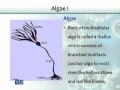 BT102 Microbiology Lecture No 63