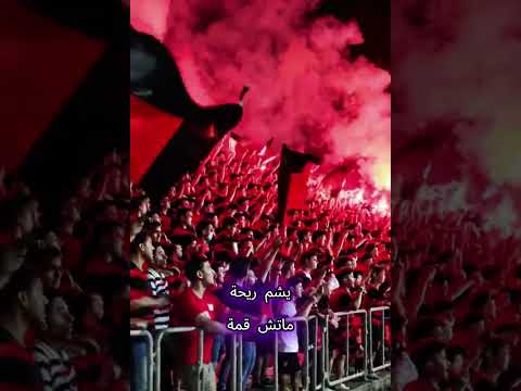 الأهلي راجع يتصدر ودي مسألة وقت مش أكتر