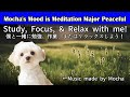 Meditation BGM Study/Work/Relax [勉強/作業/リラックスBGM] Peaceful Album