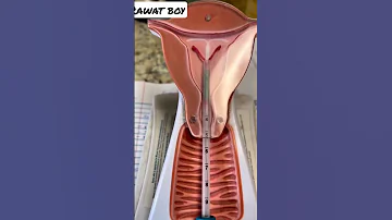 Vagina Vulva Female Anatomy Gynecology Visual Exam test  vagina test #shorts #vagina #gyncology