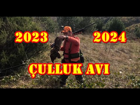 Çulluk Avı 2023-2024 Sezonu. Gazel Çulluğu Denk Geldi. Woodcock Hunt