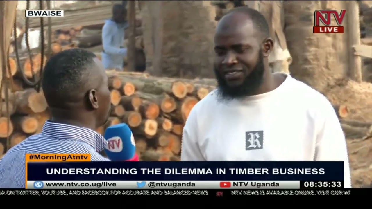 ON THE GROUND :Understanding the dilemma in timber business