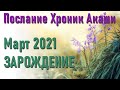 🔹Март 2021 — зарождение. Послание Хроник Акаши.