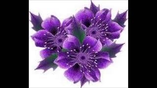 Enrique Iglesias: Esperanza