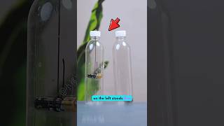 Most Mind-Blowing DIY Science Hacks from America &amp; Canada 🤯#ScienceUSA #USATrends #NewYorkCity