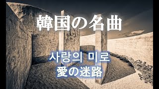 【韓国名曲】사랑의 미로  /  愛の迷路  cover by Tomisobu