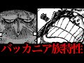 【驚愕の特性】バッカニア族はかつて●を●●●したヤバすぎる一族です。【ワンピースネタバレ】【ワンピース最新話 1104話考察】
