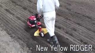 F220 New Yellow RIDGER (With a tail wheel)