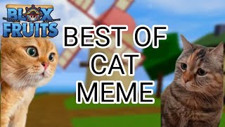 Best Of Cat Meme in Blox Fruits 😹