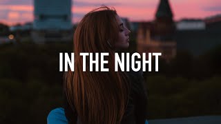 Video thumbnail of "PHNYX - In The Night (Lyrics)"