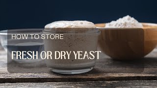 How to Store Fresh or Dry Yeast?