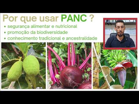 Por que usar PANC e plantas medicinais?