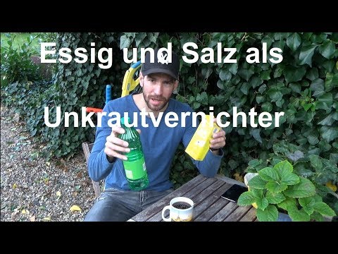 Video: Die Besten Möglichkeiten, Unkraut Loszuwerden