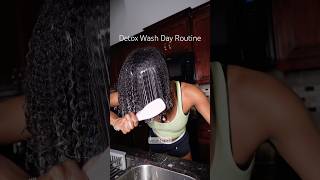 Detox Wash Day Routine💙#naturalhairlove #washdayroutine #type4natural #cecred #mielle #curlyhair