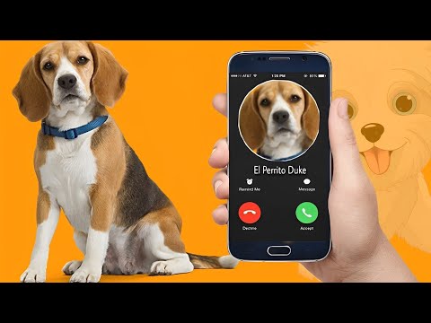 Llamadiita De El Perrito Duke🐶Para Que Tu Niño Se Divierta hqdefault