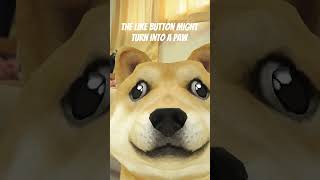 #dog #shibainu #doge #cute #dog #dogs