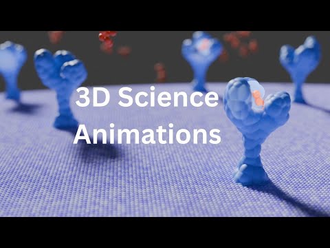 Portfolio video 6