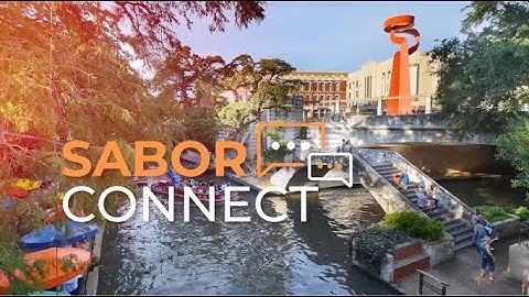 SABOR Connect - Enhanced Client Portal