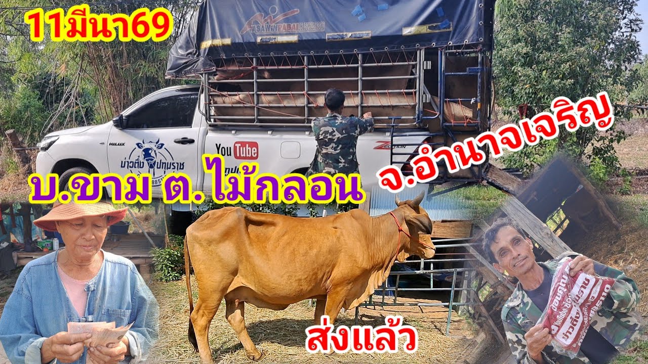 ส่ง บ.ขาม ต.ไม้กลอน อ.พนา จ.อำนาจเจริญ/11มีนา69