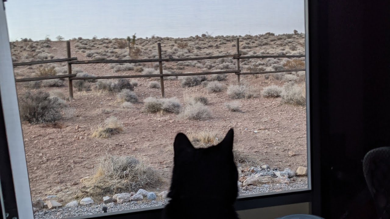 How To Leave Your Cat Alone in the RV Driving From the California