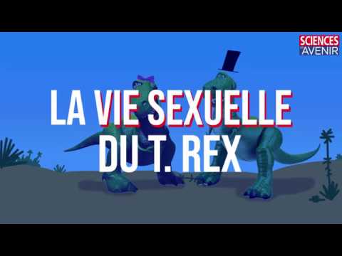 Vidéo: Les Paléontologues Ont Clarifié Les Idées Des Dinosaures Sur La Sexualité - Vue Alternative