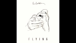 Why So Blue | Flying