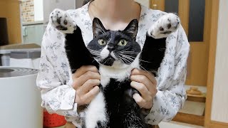 ぴーちゃんの病気についてお話します