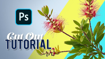 How to Cut Out Detailed Tree Leaves in Photoshop - Tutorial