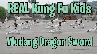 Real Kung Fu Kids - Group Wudang Dragon Sword 龙化剑 - Cute Dog Dodges 12 Swords