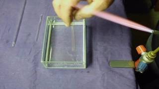 Hot Glass vs.cold Water